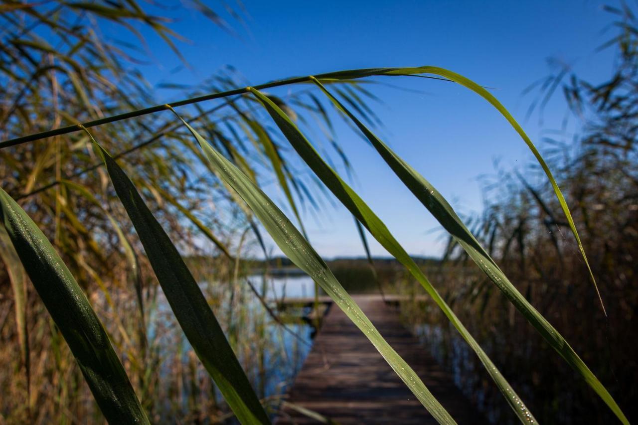 Saski Zakatek, Wakacje W Bajkowym Domku!!! Mazury, Sauna, Jezioro, Pomost, Sasek Maly Exterior foto